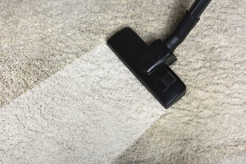 Carpet Cleaning FAQ's