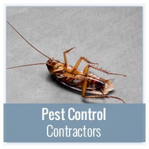 Pest Control Contractors
