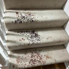 Blood-Stained-Carpet-Cleaning-in-Chesapeake-VA 0