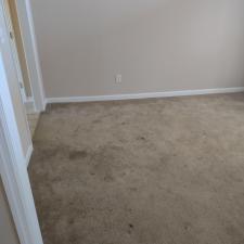 Carpet-Cleaning-in-Harvest-AL 0