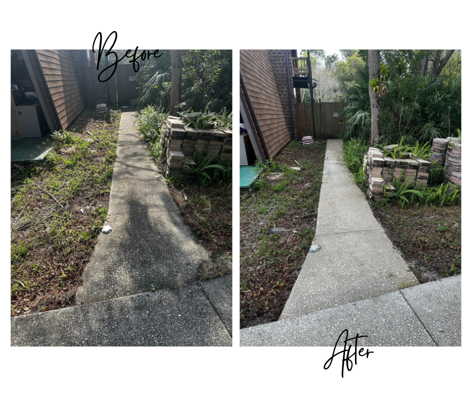 Driveway Washing in Orlando, FL