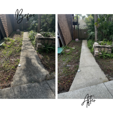 Driveway-Washing-in-Orlando-FL 3