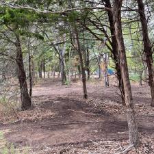 Land-Clearing-in-Terrel-TX 2