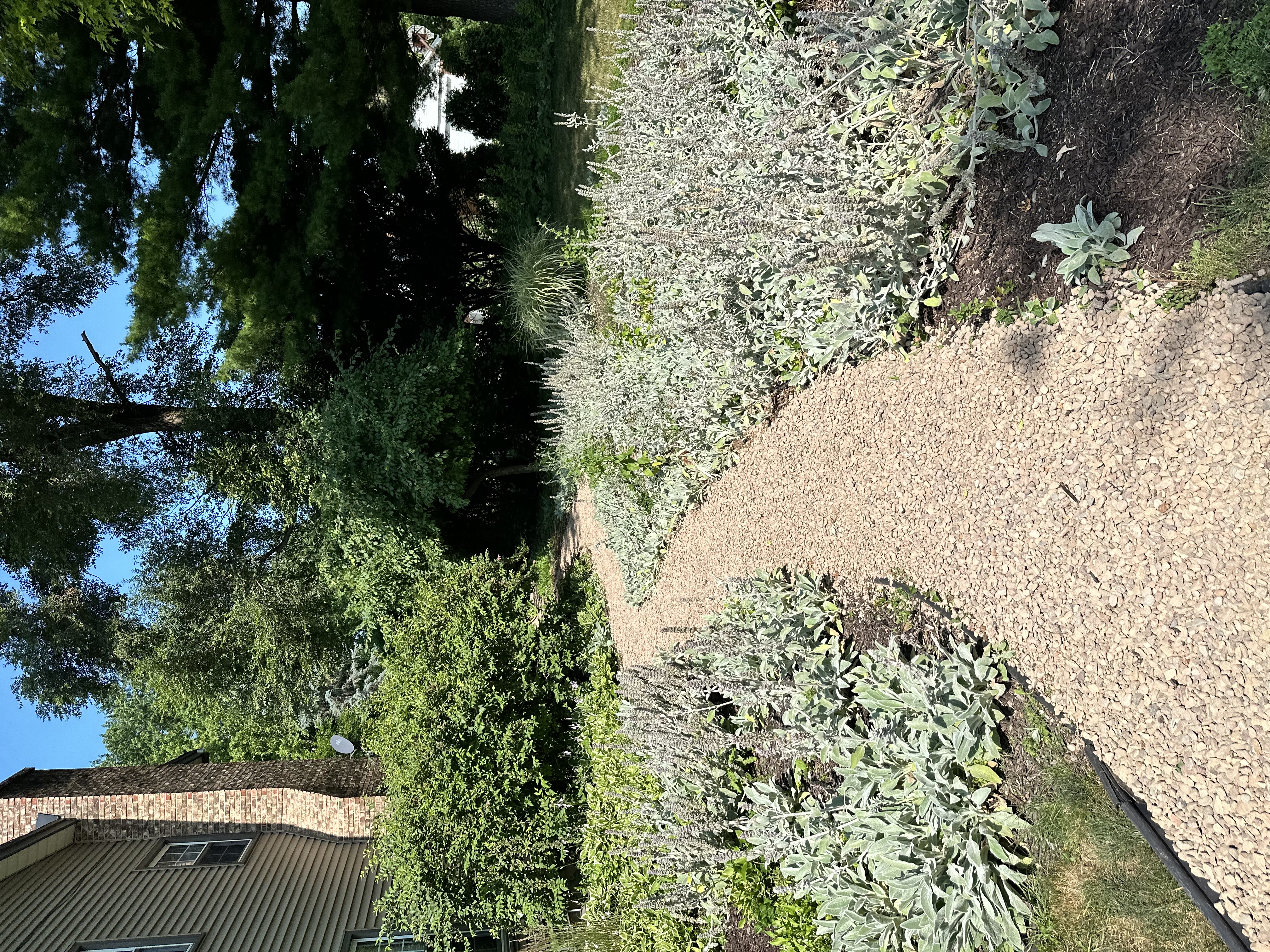 Landscaping in Brookfield, WI 1