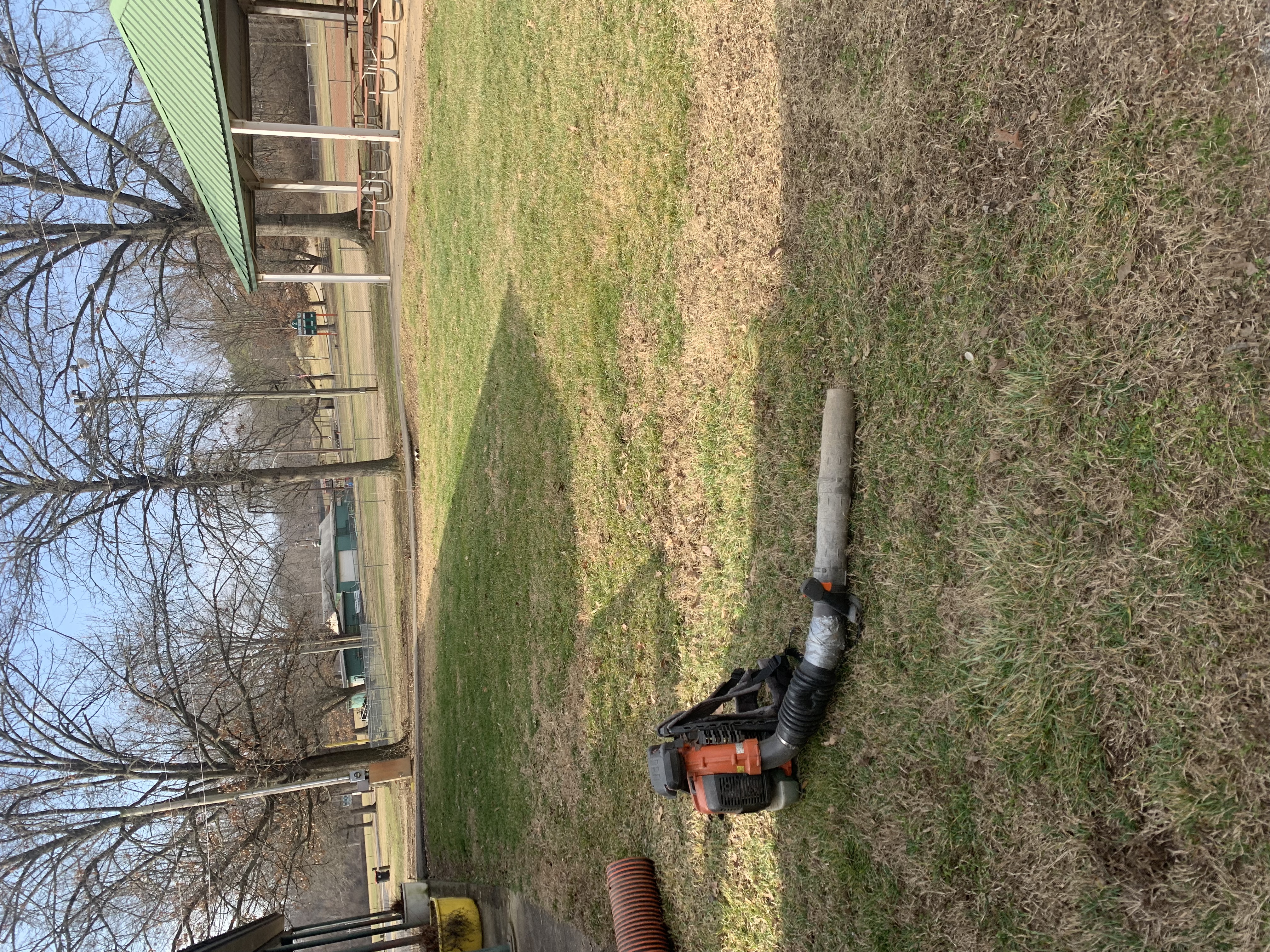 Leaf Removal in Germantown, KY