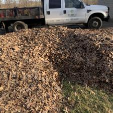 Leaf-Removal-in-Germantown-KY 3