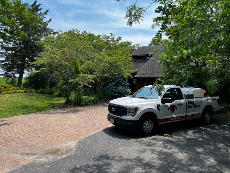 Mosquito Control in Cap May, Nj