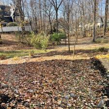 Seasonal-Cleanup-in-Geist-IN 2