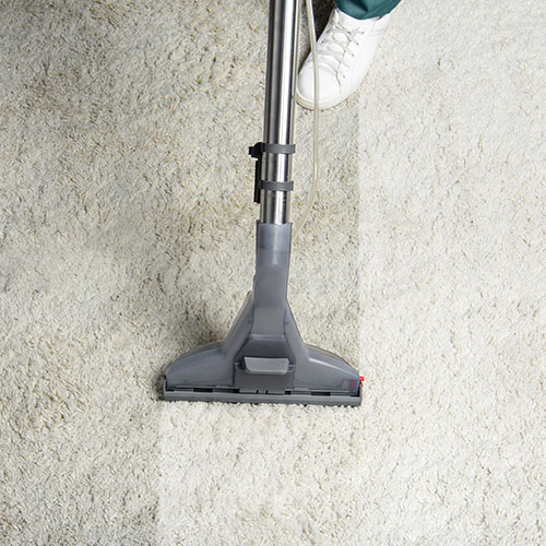 Carpet Cleaning Projects
